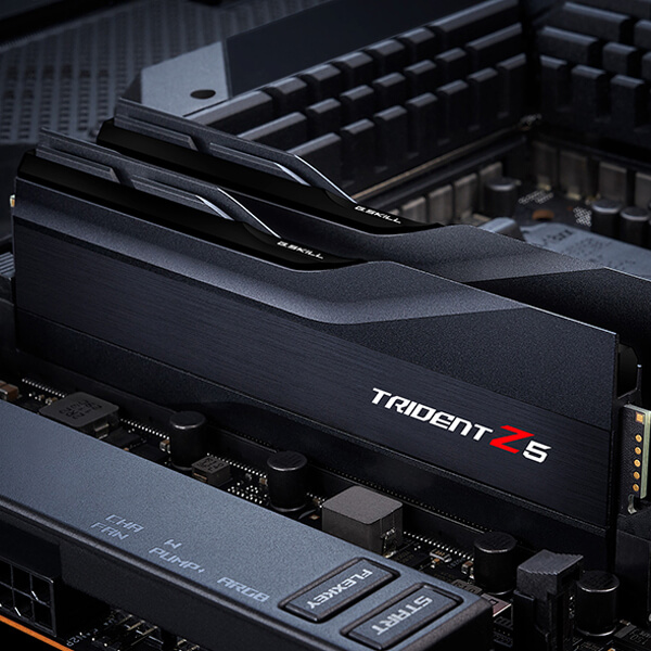 G.Skill Trident Z5 32GB (16GBx2) DDR5 5600MHz RAM (Matte Black)